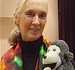 Jane Goodall's Petition: End Wildlife Trafficking