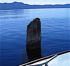 Mystery: the Old Man of the Lake