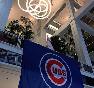 Chicago Cubs Win World Series!