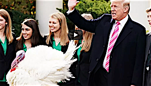 Trump's First Turkey Pardon